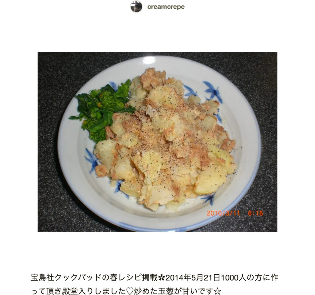 活動歴および当時の関連ビジュアル記録